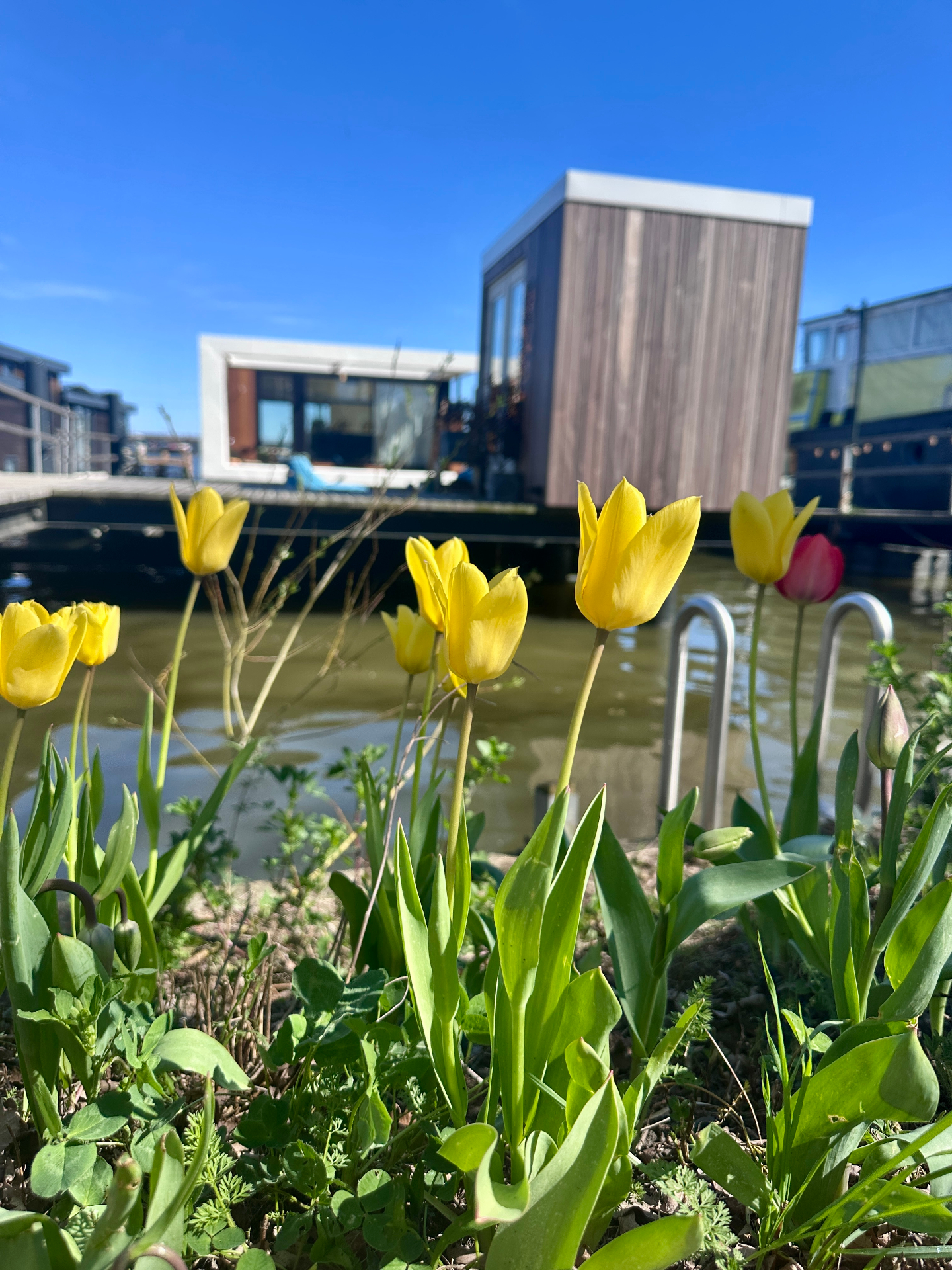 The floating studio in Amsterdam where sessions take place